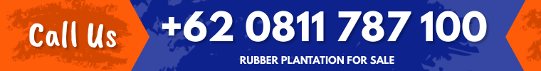 Kebun karet Dijual